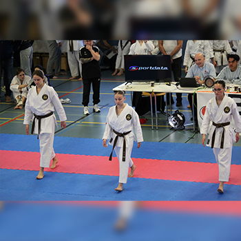 Bild der Teilnehmer des Bonsai Cups